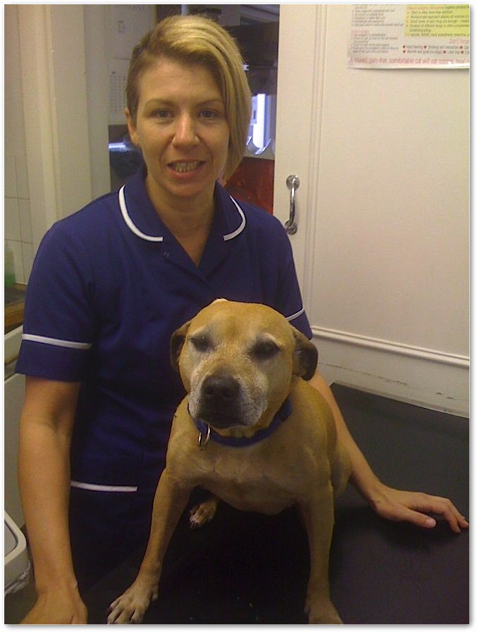 Practice Administrator