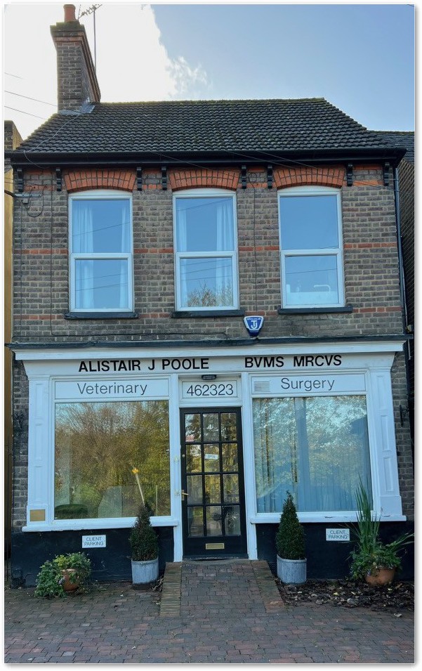 Vet Practise